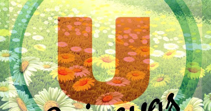 Logo Super U Guipavas